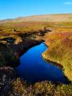 Iceland, colors of fall in Middalur at Steingrimsfjardarheidi during autumn. Art Print